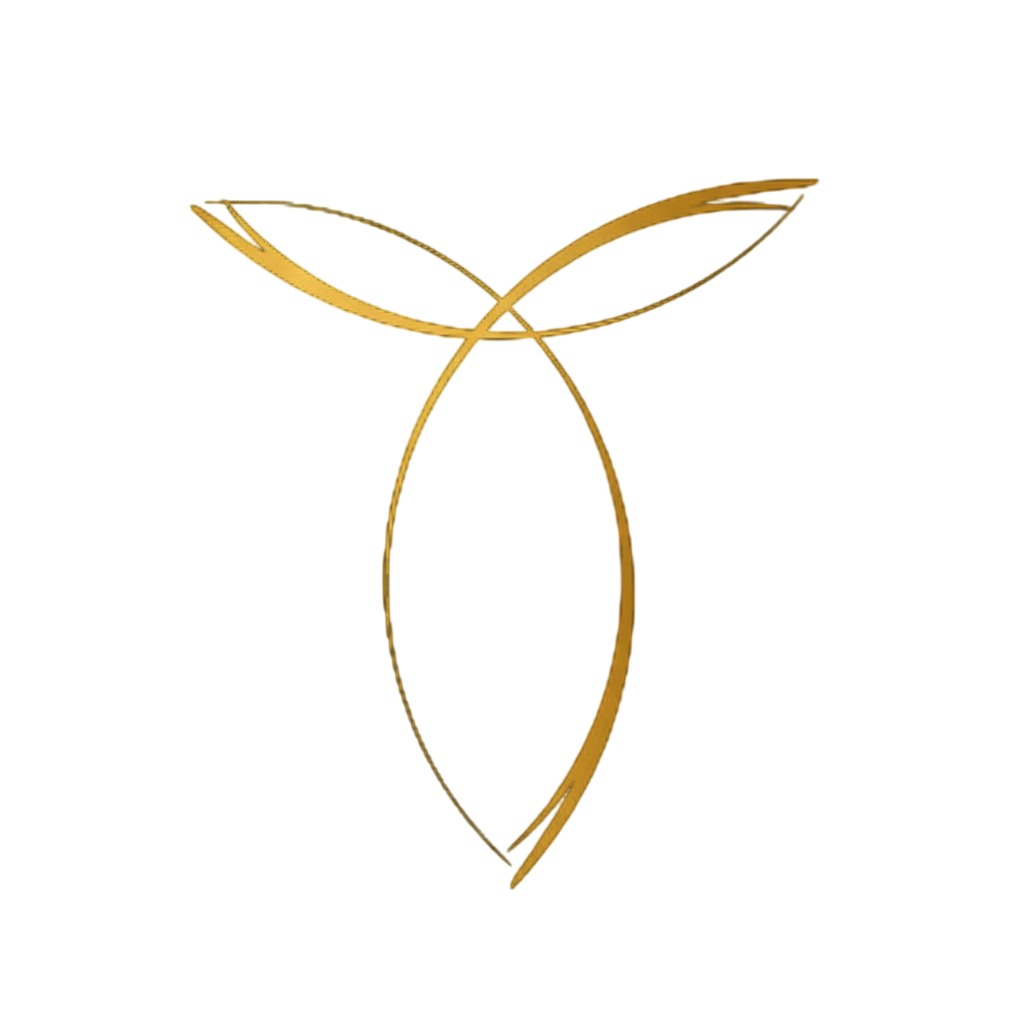 Logo Nájera Montiel